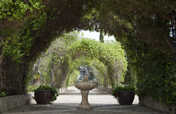 Finca Sa Garriga Binisalem Exterior foto